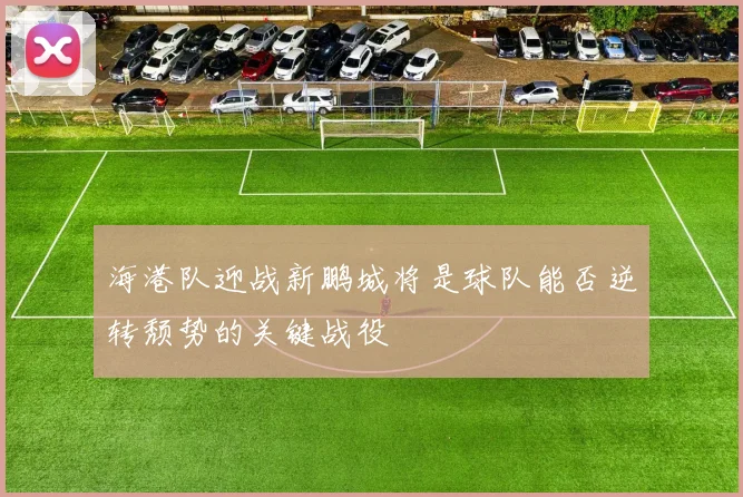 海港队迎战新鹏城将是球队能否逆转颓势的关键战役