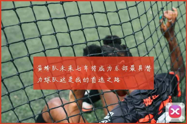 黄蜂队未来七年将成为东部最具潜力球队这是我的首选之路