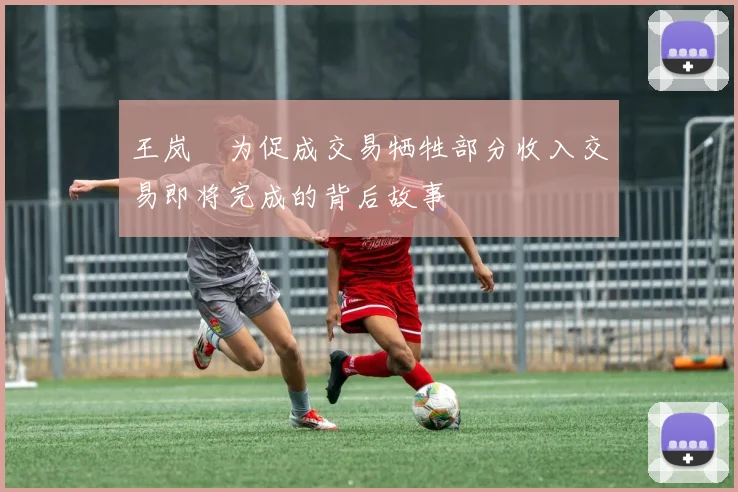 王岚嵚为促成交易牺牲部分收入交易即将完成的背后故事